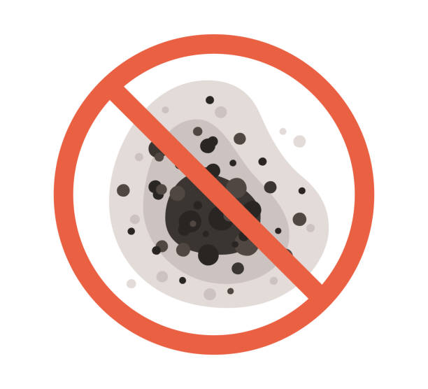 Best Commercial Mold Inspection  in La Grange, NC