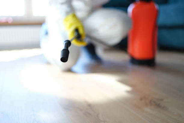 Forensic Mold Investigation in La Grange, NC
