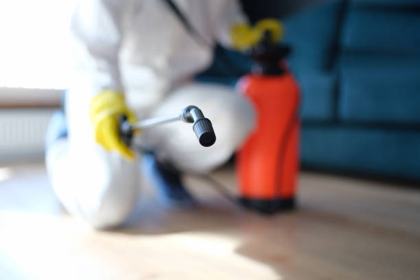 Best Attic Mold Removal  in La Grange, NC